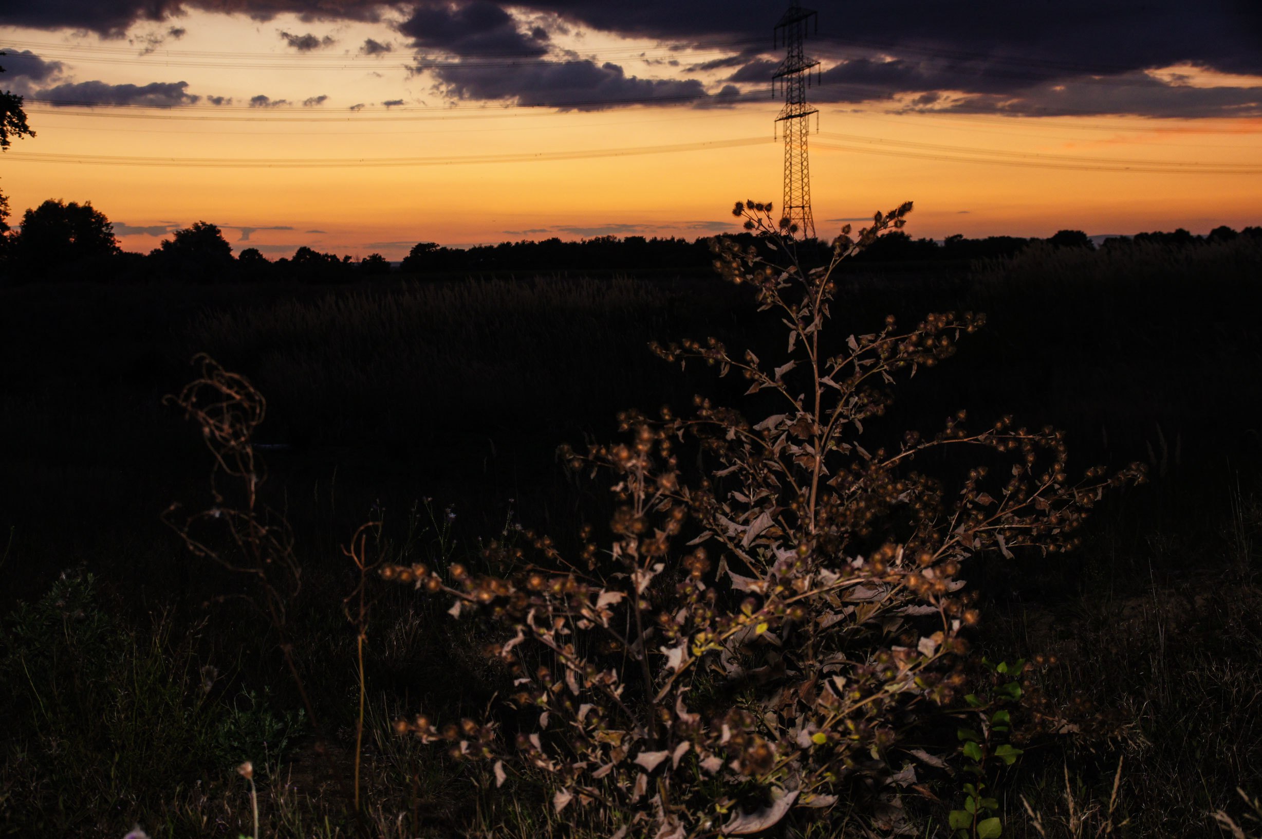 Sonnenuntergang-Weiterstadt_01.jpg