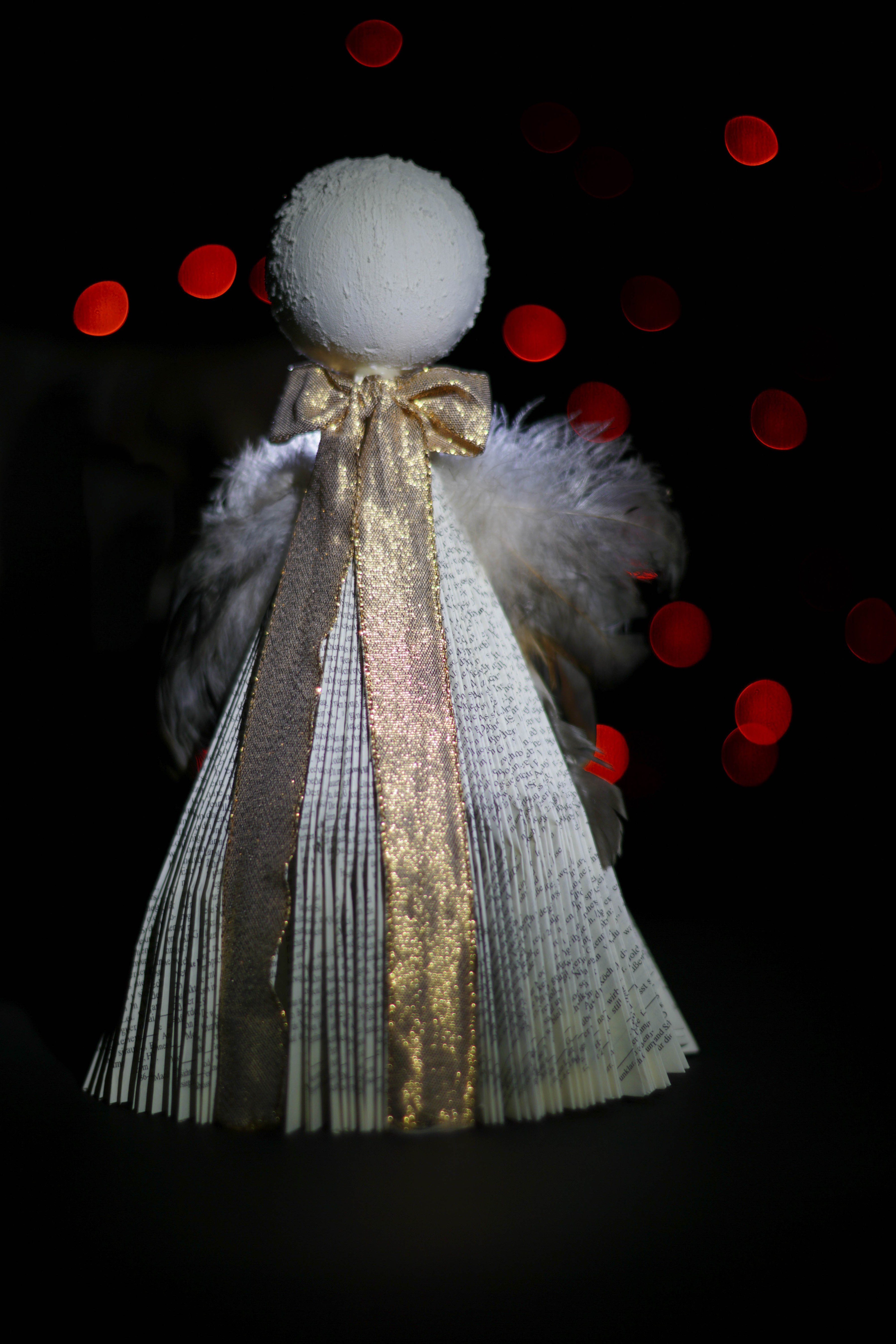 DSC00020-WEB
