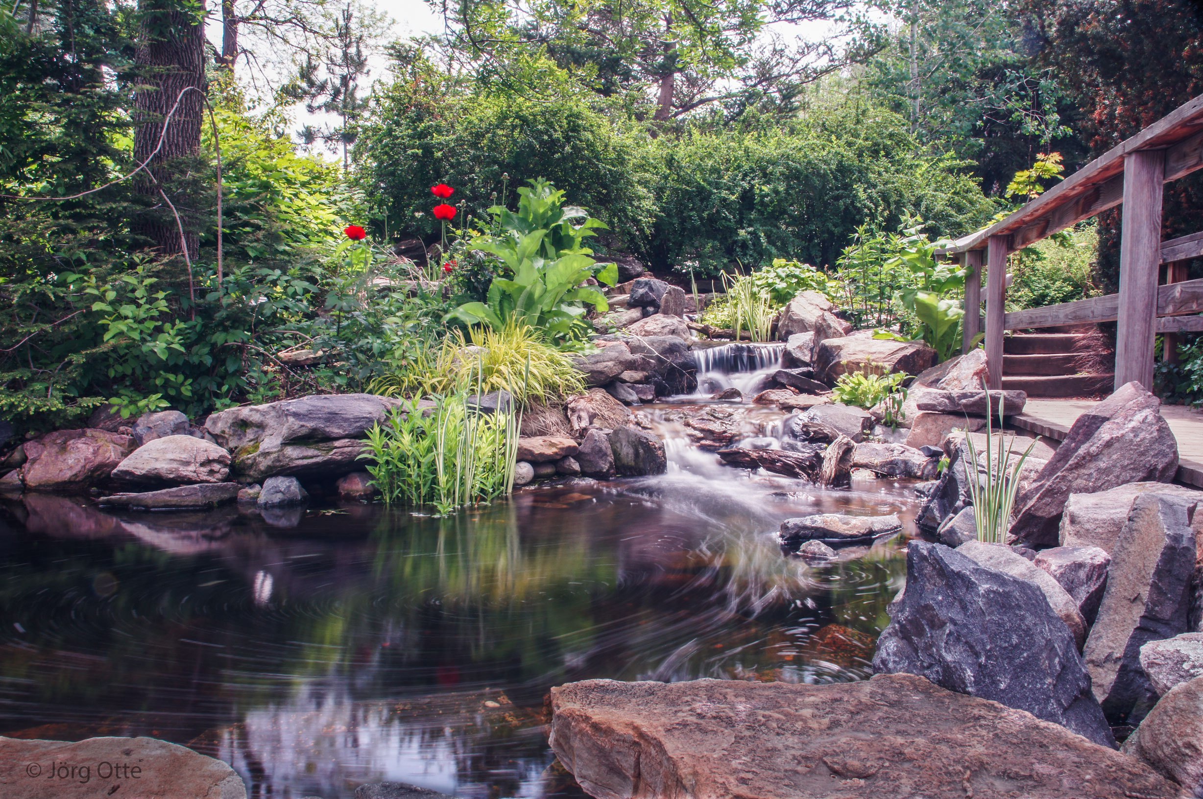 Denver-Botanic-Garden.jpg